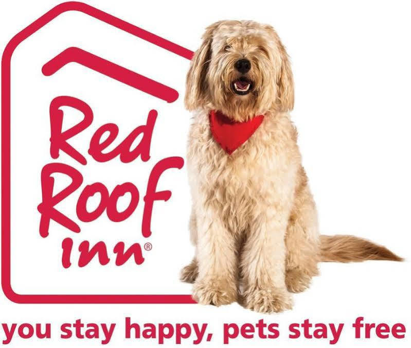 Red Roof Inn Dayton North Airport Ngoại thất bức ảnh